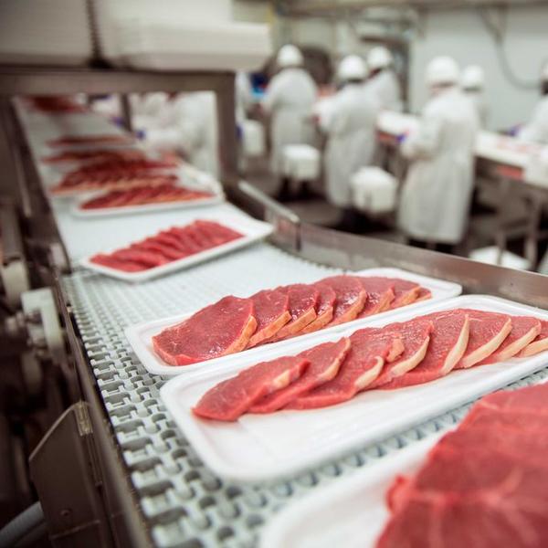 Termeléskövetés ISO 22000 alapokon