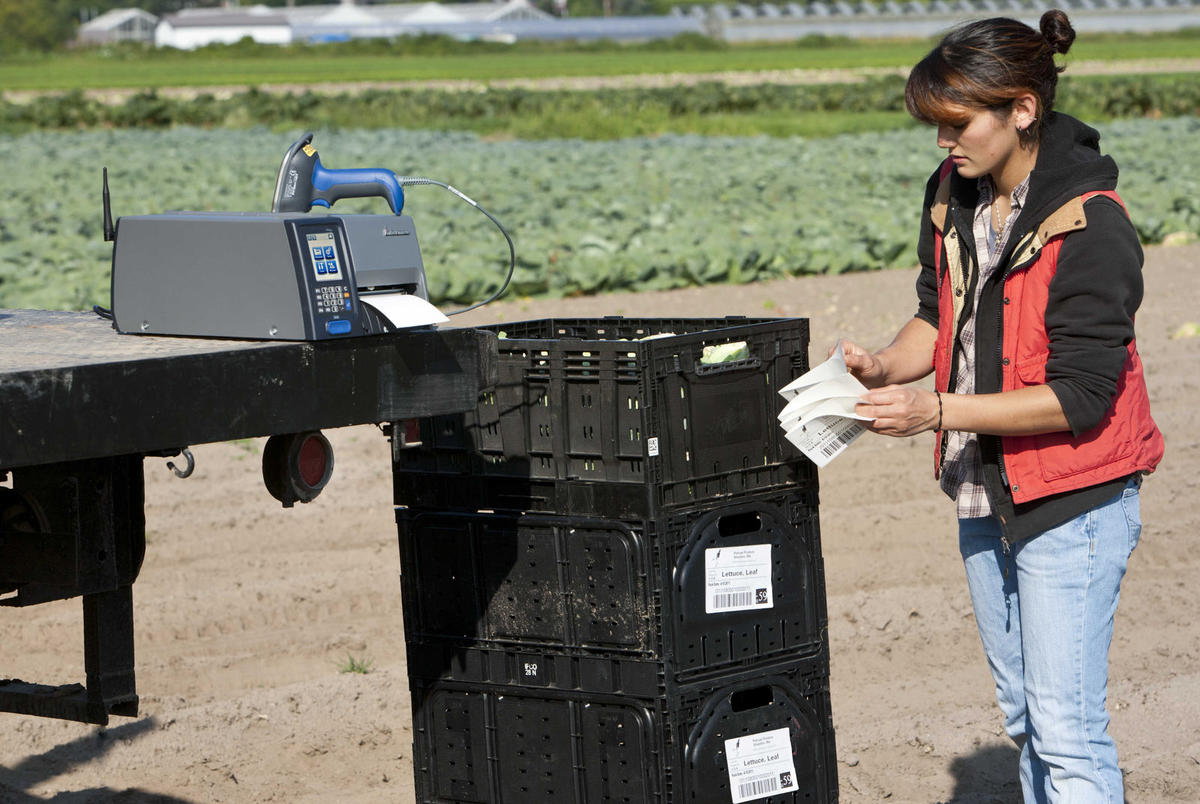 Címkenyomtató alkalmazás fejlesztése képe